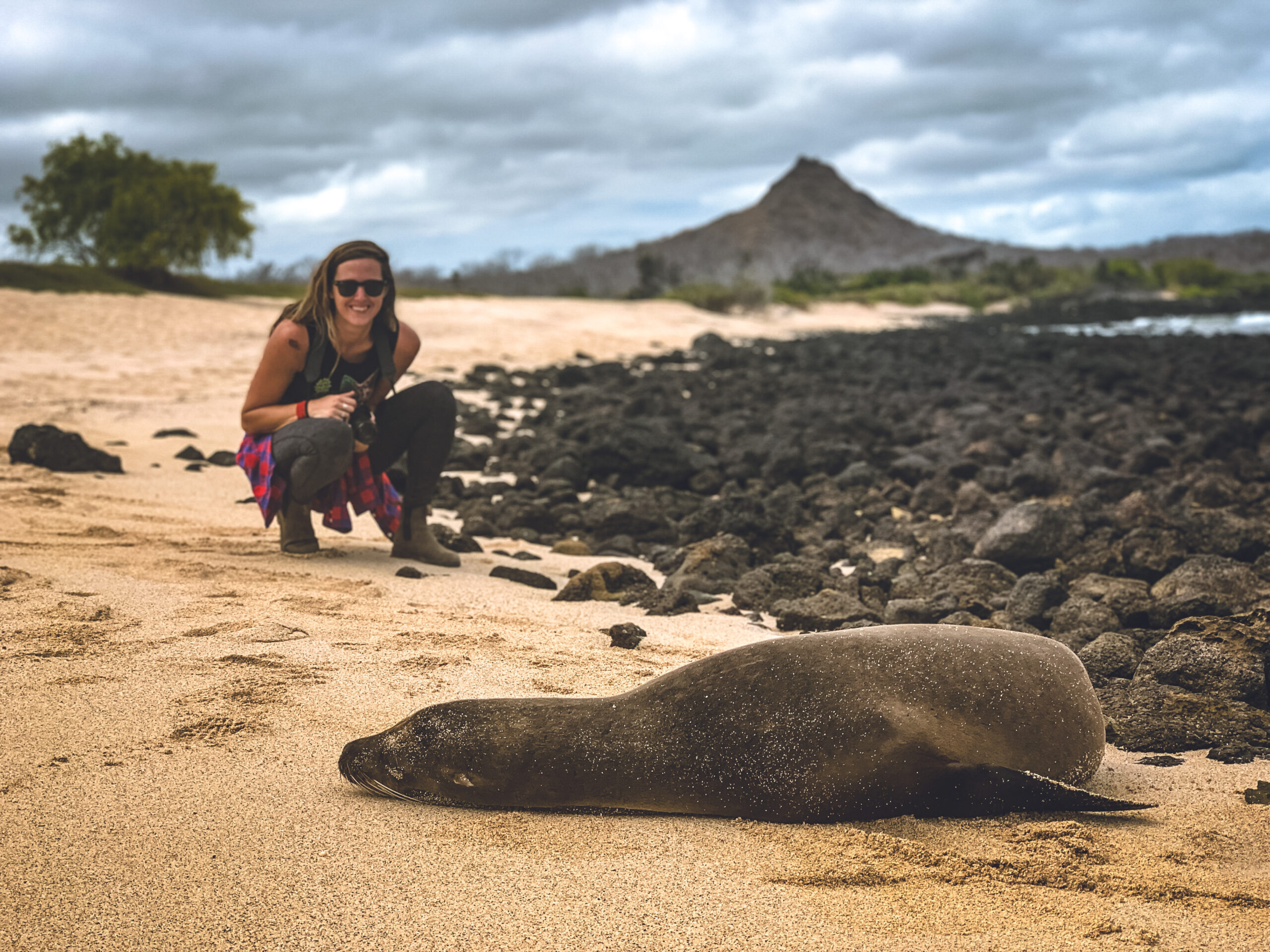 a girl holding a camera smiles on a beach while looking at a sleeping sea lion in the foreground.